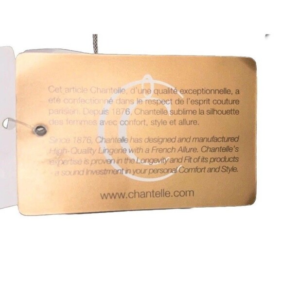 Chantelle Floral-Lace Soft Gold Corset Bustier Iv 36C Shape Wear Lingerie NWT - Picture 9 of 10